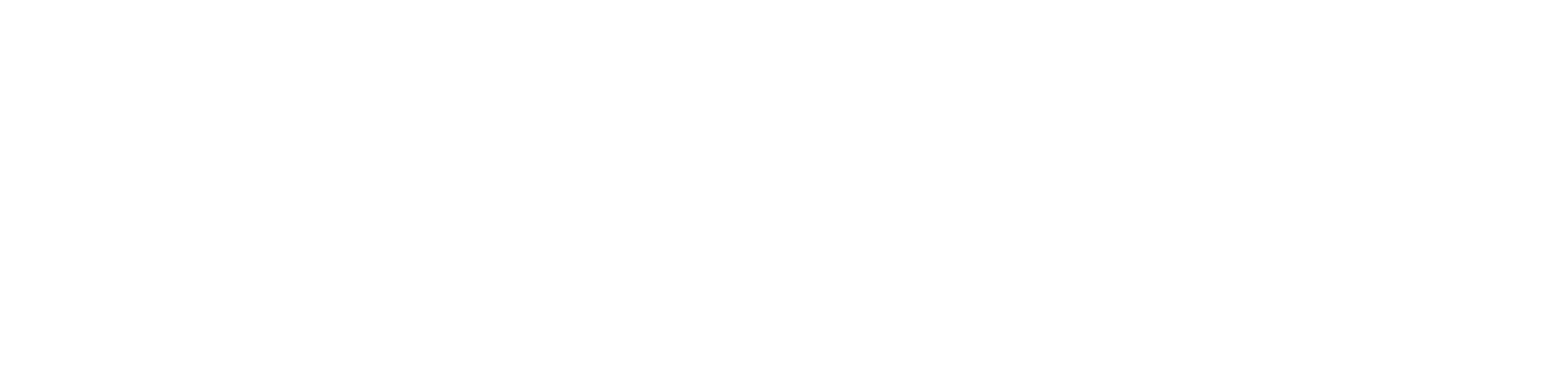 MLA_WEBSITE_Development_Intensive_Logo_930x230px_300DPI-3